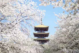 杭州南京成都：看了武汉才知道，为什么它的工业耗电和惠州差不多图片