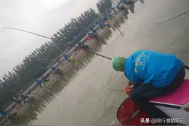 3斤鲤鱼用多大钩？小到七号袖，大到5号新关东，各有妙用图片