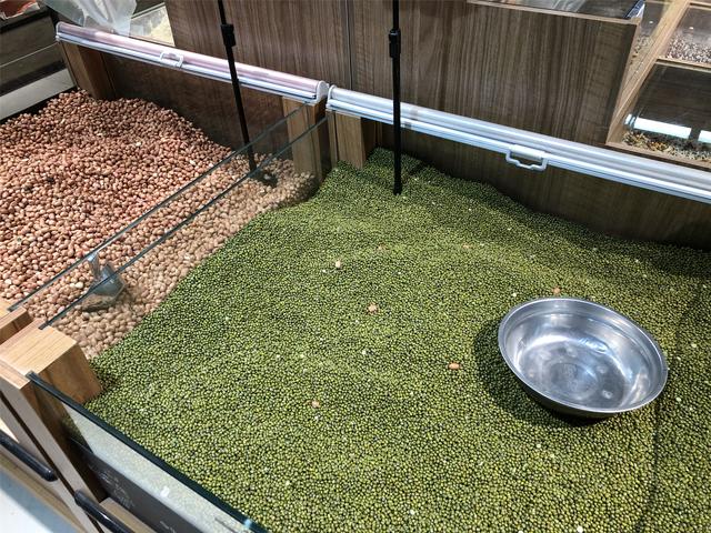 如果不方便出门，这6种食材可多囤些，耐储存，满足营养不发愁