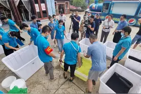 非法交易的5只涉案活体海龟终获救护图片