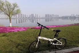 清新的空气、舒适的气温、养眼的美景，唯有骑车、步行不辜负春光图片