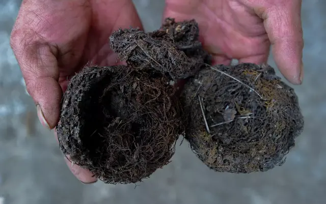 这些保健品都很坑，过年别送