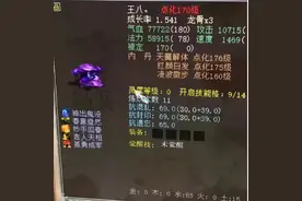 大话西游2情怀玩家自曝奇葩召唤兽！观众：太带感啦图片