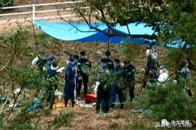 日本行李箱藏尸案告破：重庆女子惨死，中国男嫌犯落网图片
