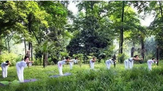 忻州市2020年招商引资项目——产业篇（三）