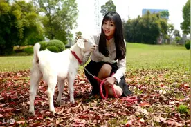 小说：被取笑孩子上不起学后，乞丐男子说他要赞助学校五十万图片