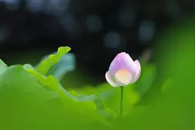 人生走向衰败的4个时期图片