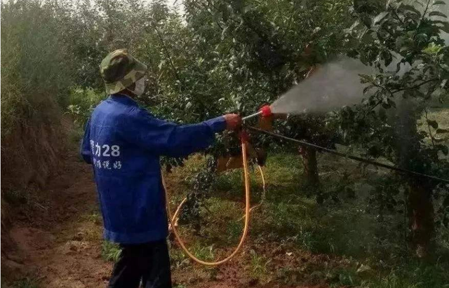 中国特种肥料隆重登场