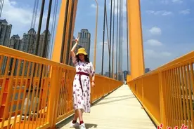 周日打卡杨泗港大桥图片