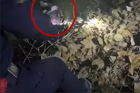 深夜惊魂！沭阳一老人半沉半浮在河里图片