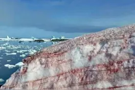 又一噩耗传来！南极出现“血雪”，科学家：最担心的事正在发生图片