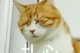 大局已定！速看5年后的昆山图片