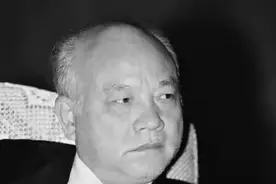 父子皆副国级领导，父亲是军界强人，儿子在家中不幸被歹徒杀害图片