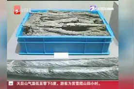 杭州发现南宋“玻璃”，多项考古重大发现今公布视频封面