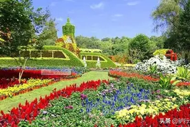成都周边看花，五一节花开正当时，15处地方盘点图片