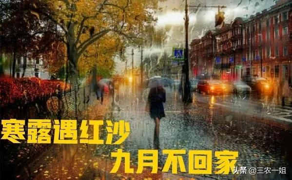 今天寒露，即“无禄”犯“红沙”日，是啥意思？今年寒露不好吗？