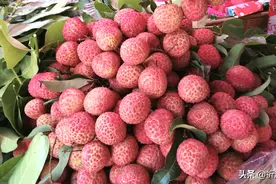 「香」荔枝好吃还能美容做香，你知道吗？图片