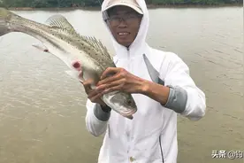 广东湛江男子一月出海4次，钓鱼收获上万元！坦言：为了生活图片