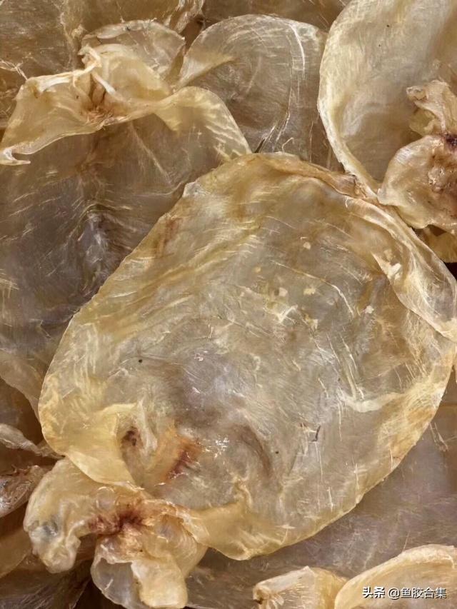 越南花胶好吗 2026年越南花胶好吗有毒吗