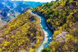 云台山年票信息解答都在这里！还有附加免票景区！图片