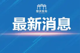 定了！肇庆市幼儿园、特殊教育学校返园返校和校外培训机构开展线下服务时间公布！图片