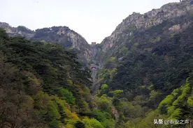 名家话泰山|刘凌：名山文化与泰山文化图片