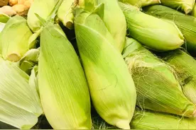 「12316农技」玉米秃尖产量低？解决方法get√图片