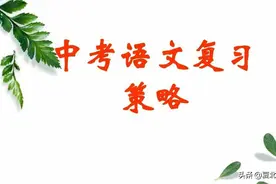 中考语文复习指南（学生版）图片