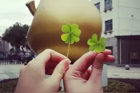 上海市建平中学介绍图片