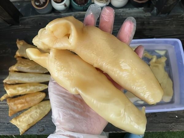 大个花胶怎么切开 2026年大个花胶怎么切开图解