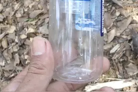 夏季胡蜂泛滥，手把手教你如何防治图片