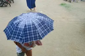 暴雨后，郑州大学积水变鱼塘，鱼群四处游荡图片