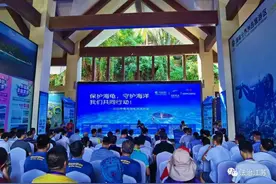 江苏检察赴海南分界洲岛外海放生29只海龟  竟是扫黑除恶牵出的大案图片