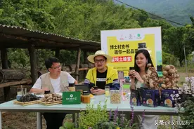 汉中“博士村支书”京东直播带货，2000斤蜂蜜三小时卖完图片