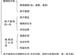 中考重点：光合作用和呼吸作用精细讲解，初中生必收藏图片