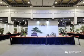 第十届花博会 | 盆载华夏春 江海涌诗情——第三届中国杯盆景大赛精彩绽放图片