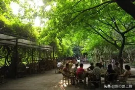 成都人民公园，除了百年老茶馆，另外两个地方才最应该被记住图片