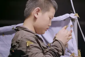 11岁男孩爱好特殊却被父母支持：被父母尊重的孩子，活得有多爽图片
