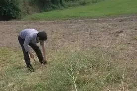 人在广东，他是怎样从一个扫地小伙逆袭成为一个公司的老总图片
