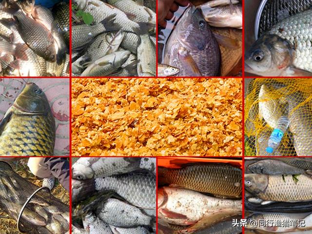 瓒呰灞炰簬浠€涔堥サ锛熺敤濂戒簡灏辨槸涓€娆惧畬缇庝竾鑳介サ锛岃秴绾ц椋? onerror=