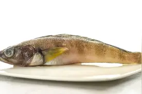 18个你不知道的生活冷知识，什么是最有害的吸烟方式？图片