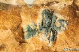 霉变的食物，切勿切掉霉点后再吃，里面的致癌物可危及生命图片