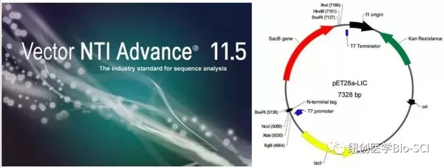 干货｜技能篇之分子生物学常用小软件分享