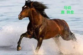 001 马说，唐・韩愈图片