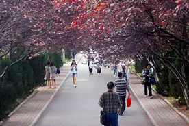 大学处长属于公务员吗？和公务员的处长相同吗？图片