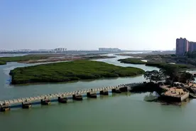 泉州洛阳桥：世界第一座跨海大桥图片