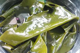 煮海带千万别用清水煮，教你几招，快速变软，很多人还不知道视频封面