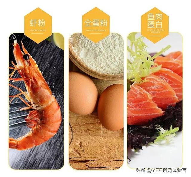 观赏鱼粮里的必需品，基本营养维持鱼的生命活动