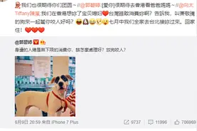 还未领证已改口！郭碧婷回应向太支持，嘴甜喊向家二老爸爸妈妈图片
