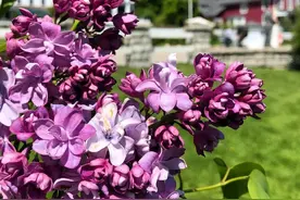 如何还清信用卡？图片